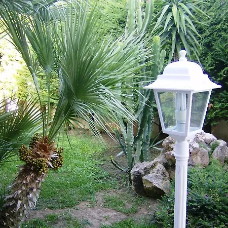 Diomira Torre dell'Orso
