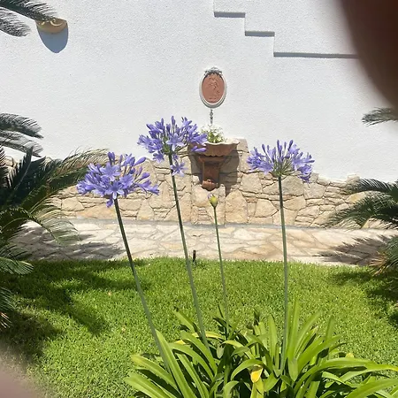 Diomira
